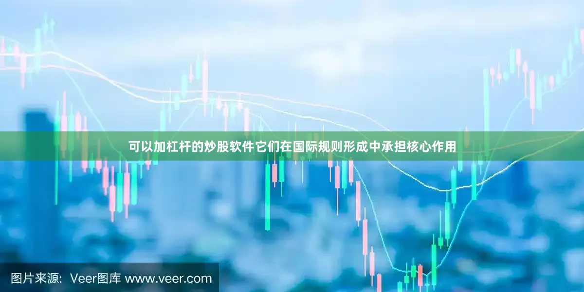 可以加杠杆的炒股软件它们在国际规则形成中承担核心作用