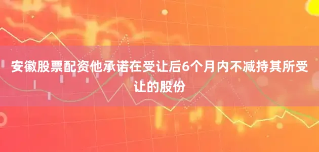 安徽股票配资他承诺在受让后6个月内不减持其所受让的股份