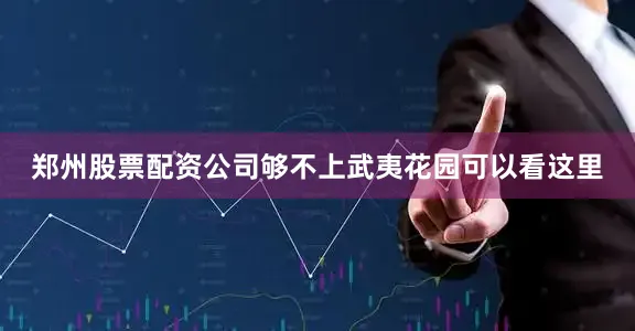 郑州股票配资公司够不上武夷花园可以看这里