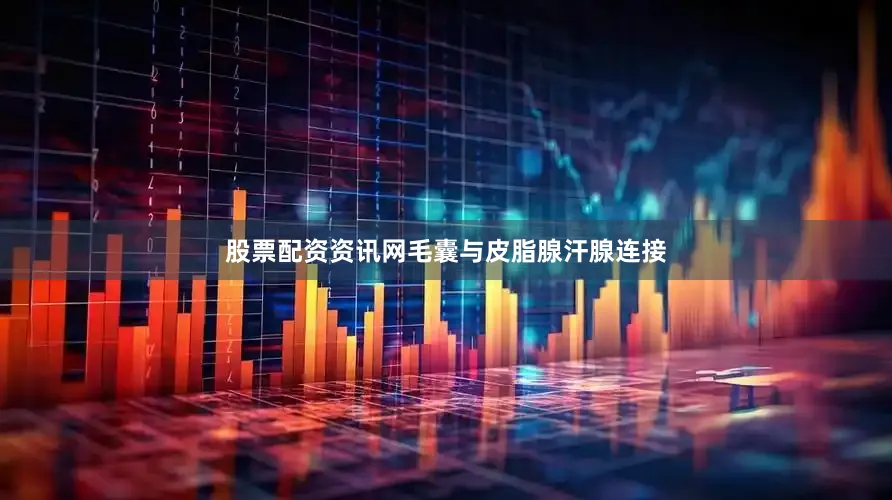 股票配资资讯网毛囊与皮脂腺汗腺连接