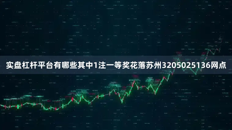 实盘杠杆平台有哪些其中1注一等奖花落苏州3205025136网点